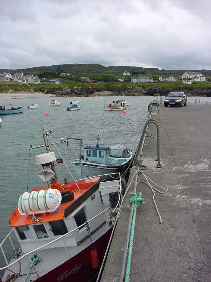 Alistair Cunningham