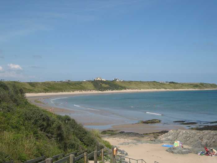 Skellig from New York City USA