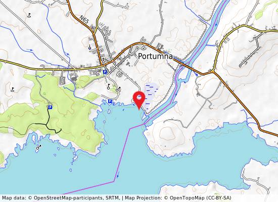 Bathing Place at Portumna on the map